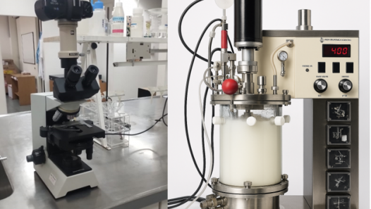imagen La cátedra de Biotecnología incorpora prácticas académicas para la carrera de Ingeniería Industrial
