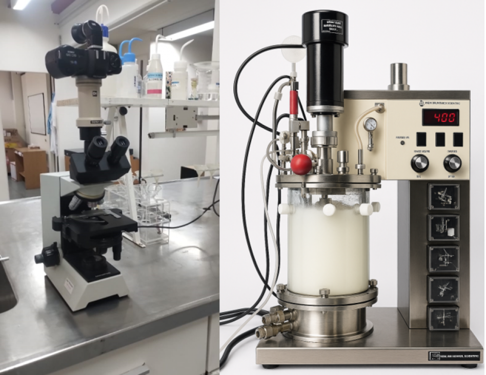 imagen La cátedra de Biotecnología incorpora prácticas académicas para la carrera de Ingeniería Industrial
