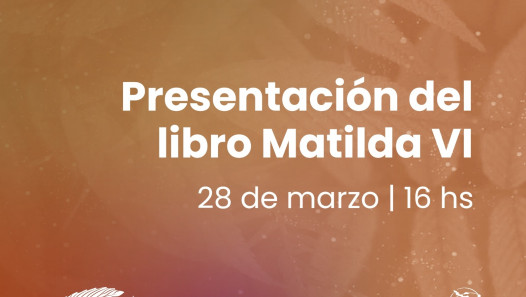 imagen Presentación de la nueva edición del libro «Matilda y las mujeres en ingeniería en América Latina 6″