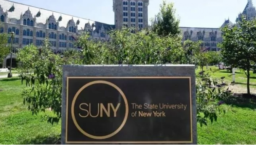 imagen Becas para Programas Ejecutivos Internacionales de IBS Americas