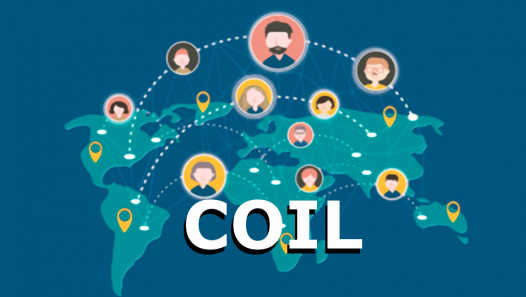 imagen Taller virtual sobre proyectos de colaboración internacional 