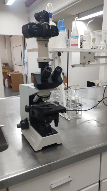 imagen La cátedra de Biotecnología incorpora prácticas académicas para la carrera de Ingeniería Industrial