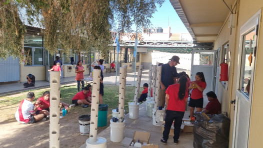 imagen Concluyó el proyecto "Hidroponia Urbana, una solución verde para una ciudad más sostenible"