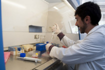 imagen Servicios de la DETI durante el receso 2026