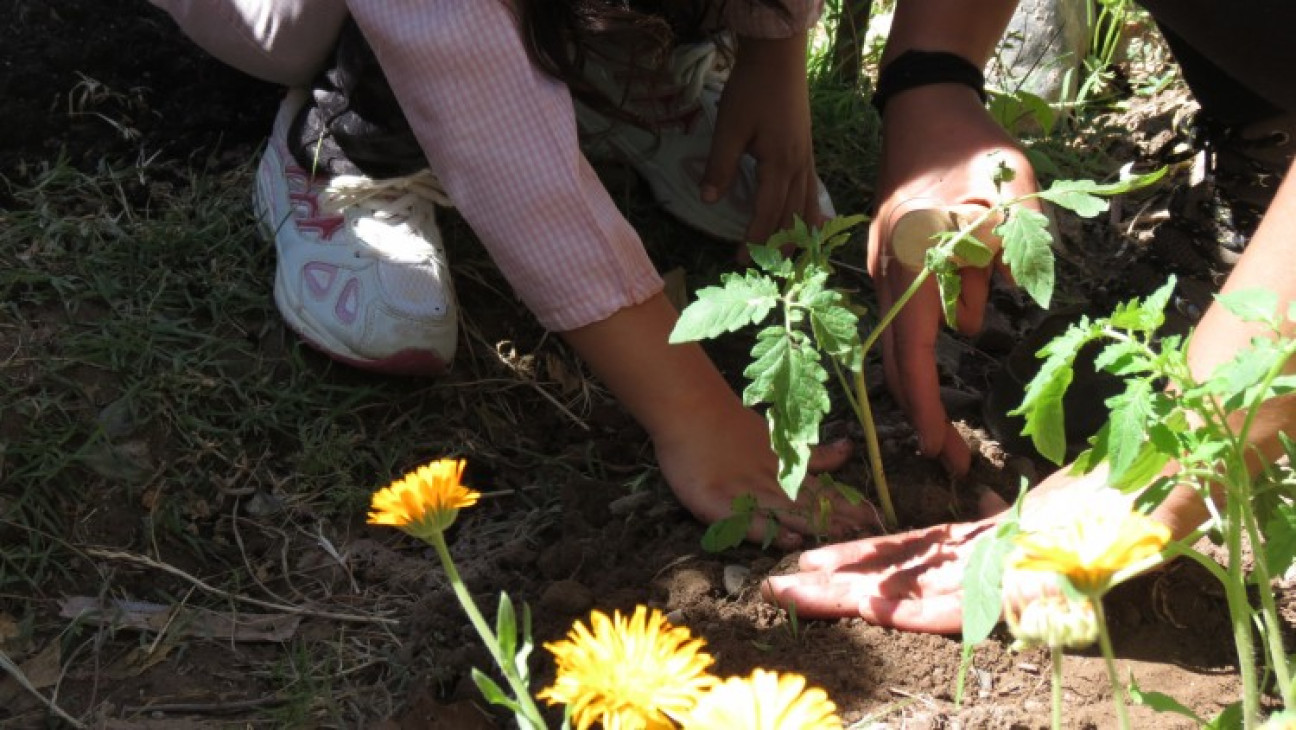 imagen Dictarán ciclo de formación en Prácticas Sociales Educativas 