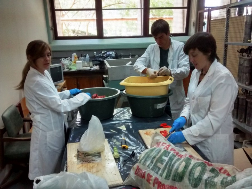 imagen El Instituto de Medio Ambiente presentó sus servicios en el Noticiero de la Universidad