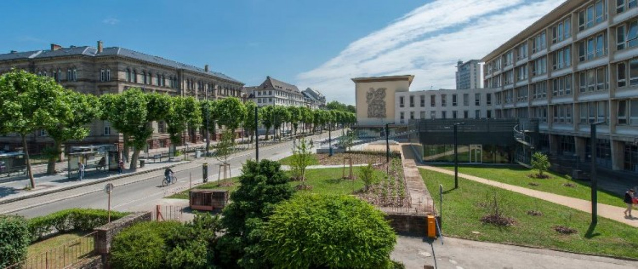 imagen La Facultad participa de ciclo sobre formación en Ingeniería en Francia, Argentina, Brasil y México