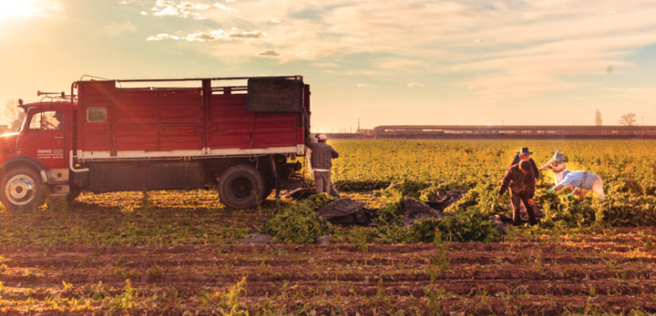 imagen Presentación del Modelo de Agricultura Sustentable de Knorr en Mendoza 