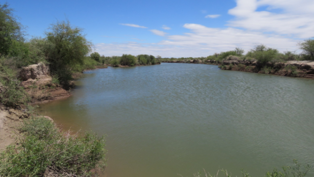 imagen Trabajaron en la conservación y restauración de las Lagunas de Guanacache