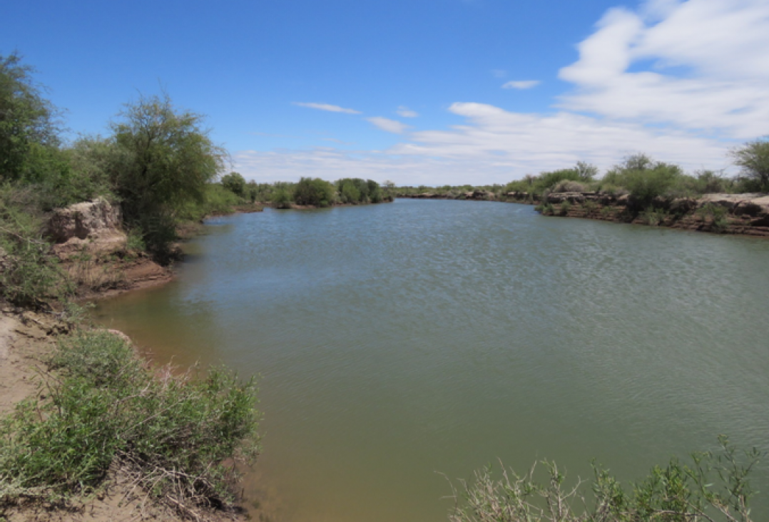 imagen Trabajaron en la conservación y restauración de las Lagunas de Guanacache