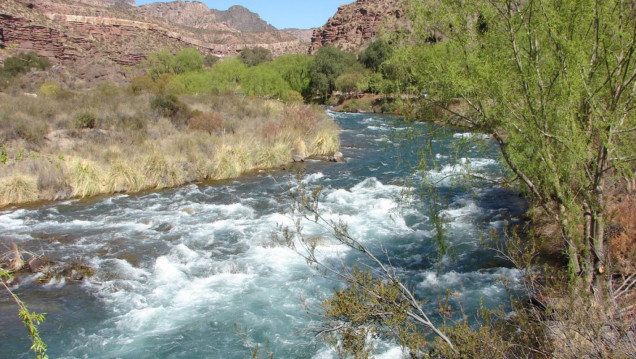 imagen Se realizará la segunda Conferencia sobre Gobernanza del agua en Mendoza
